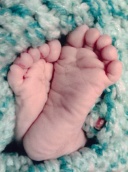 GOSSELIN NANNI, Félix