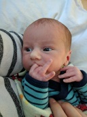 QUINTAL, Louis-Philippe