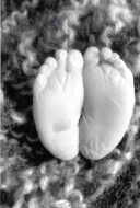 GUSTAVE, Lorenz-Thomas