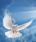 Neuenschwander, Kurt Eduardo