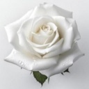 Lepage, Marie-Claire