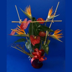 Anthurium et oiseaux du paradis