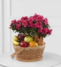 Panier de fruits et azalée